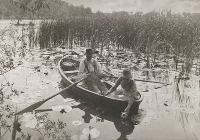 Vesililjojen kerääminen tekijältä Peter Henry Emerson