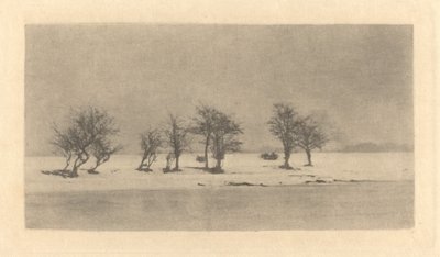 Piikki-orjanpuut tekijältä Peter Henry Emerson