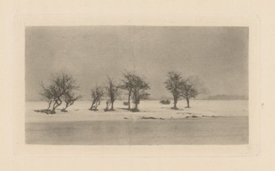 Ryppyiset orjanpuut tekijältä Peter Henry Emerson