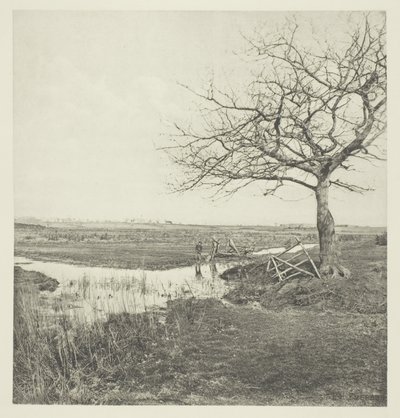 Lehdetön maaliskuu (Suffolk) tekijältä Peter Henry Emerson