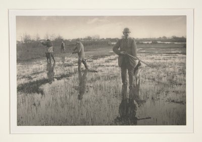 Miehet metsästämässä suolla tekijältä Peter Henry Emerson