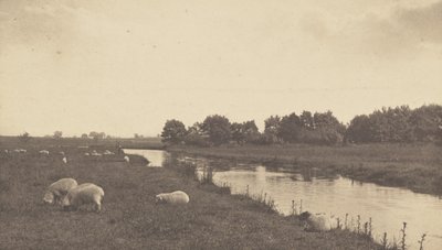Bure-joella tekijältä Peter Henry Emerson