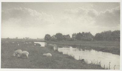 Bure-joella tekijältä Peter Henry Emerson