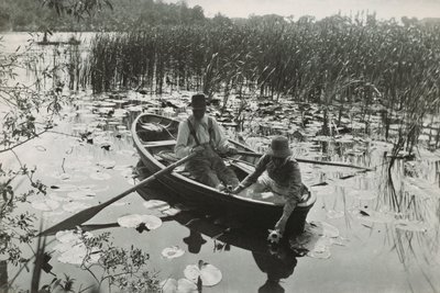 Yksi neljästäkymmenestä platinakuvasta Life and Landscape on the Norfolk Broadsista tekijältä Peter Henry Emerson