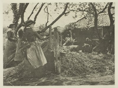 Osier-Peling (Norfolk) tekijältä Peter Henry Emerson