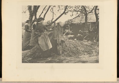 OsierPeeling. [Norfolk]]. tekijältä Peter Henry Emerson