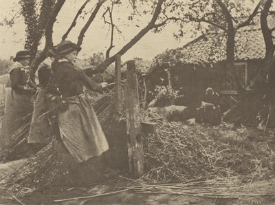 OsierPeeling. [Norfolk]]. tekijältä Peter Henry Emerson
