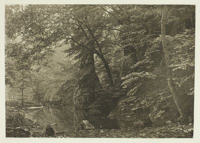 "Pike Pool" (alhaalta) tekijältä Peter Henry Emerson