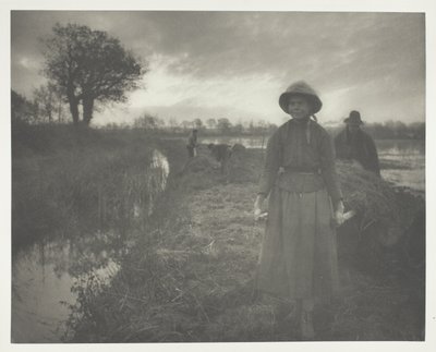 Suoheinää tekijältä Peter Henry Emerson