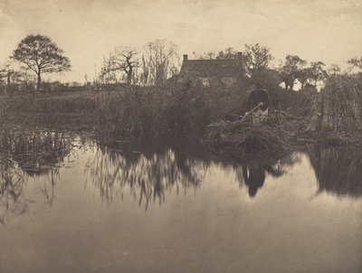 Sauvomassa Gladdonilla tekijältä Peter Henry Emerson