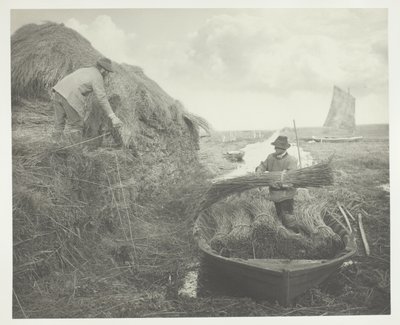 Ricking the Reed tekijältä Peter Henry Emerson