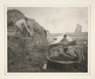 Ricking the Reed tekijältä Peter Henry Emerson