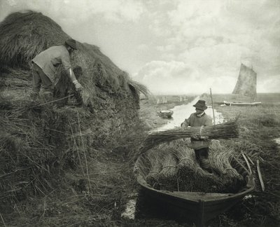 Ricking the Reed, n. 1885 (platinaprintti) tekijältä Peter Henry Emerson