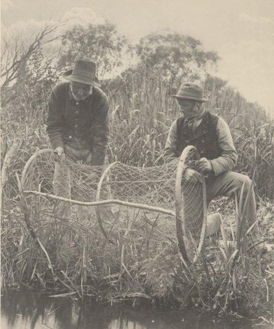 Jousiverkon pystytys,1886 (kuva) tekijältä Peter Henry Emerson