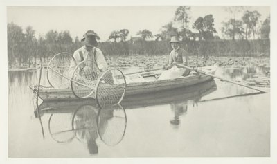 Keulaverkon asettaminen tekijältä Peter Henry Emerson