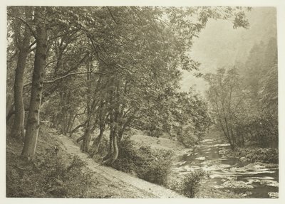 Polku First Braen yli, Dove Dale (Dove Dale) tekijältä Peter Henry Emerson