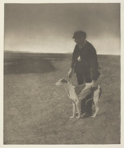 Salametsästäjä - Jänis näkyvissä, (Suffolk) tekijältä Peter Henry Emerson