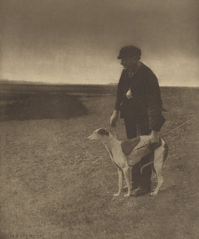 Salametsästäjä - Jänis näköpiirissä. [Suffolk.] tekijältä Peter Henry Emerson