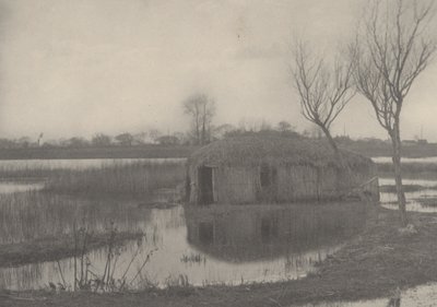 Reed Boat-house tekijältä Peter Henry Emerson and T.F. Goodall