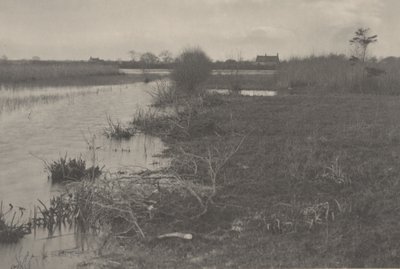 Syksyinen aamu tekijältä Peter Henry Emerson and T.F. Goodall