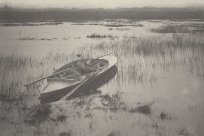 Tykkimies työskentelee Fowliin asti tekijältä Peter Henry Emerson and T.F. Goodall