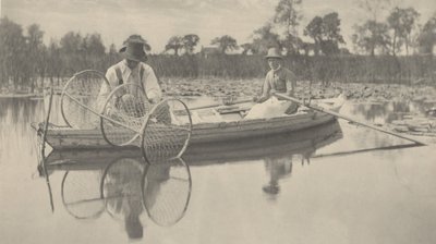 Keulaverkon asettaminen tekijältä Peter Henry Emerson and T.F. Goodall