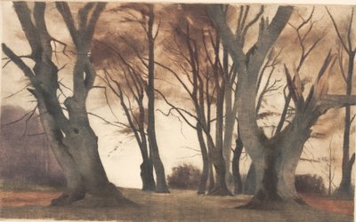 Pyökkipuut Ermelundenissa tekijältä Peter Vilhelm Ilsted