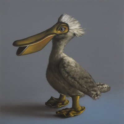 Pelikaani, 2017 tekijältä Peter Jones