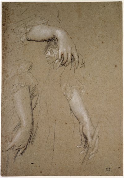 Studies of Hands, 17th century (liitu paperille) tekijältä Peter Lely