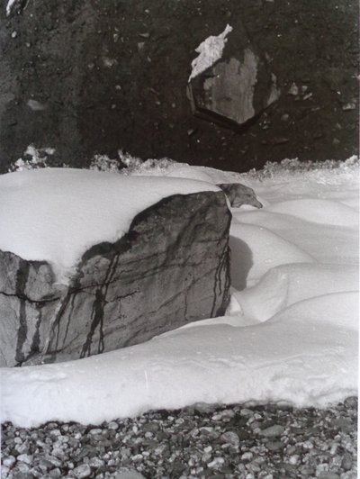 VINTAGE B&W PHOTO No.3, 1985, (VALOKUVA) tekijältä Peter McClure