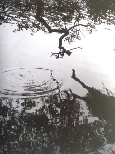 VINTAGE B&W PHOTO No.5, 1986, (VALOKUVA) tekijältä Peter McClure