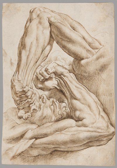Lehti anatomisista tutkimuksista tekijältä Peter Paul Rubens