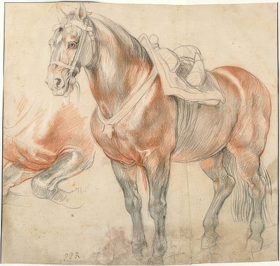 Satulattu hevonen. Noin 1615-18 tekijältä Peter Paul Rubens