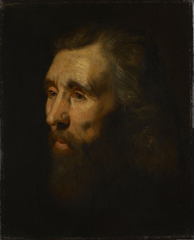 Parrakkaan miehen pää tekijältä Peter Paul Rubens