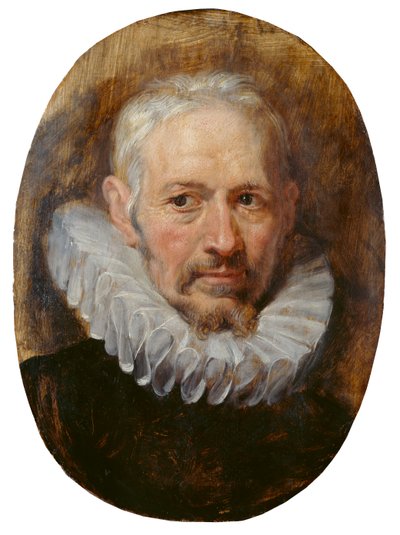 Vanhan miehen pää (öljy paneelissa) tekijältä Peter Paul Rubens