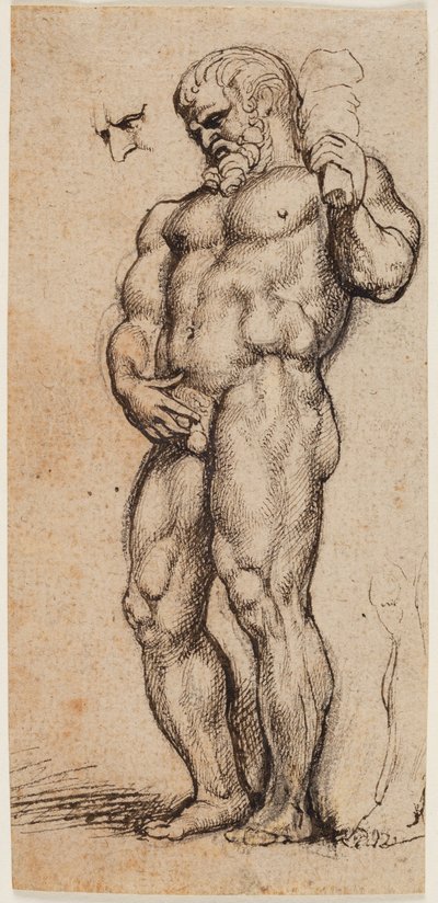 Hercules tekijältä Peter Paul Rubens