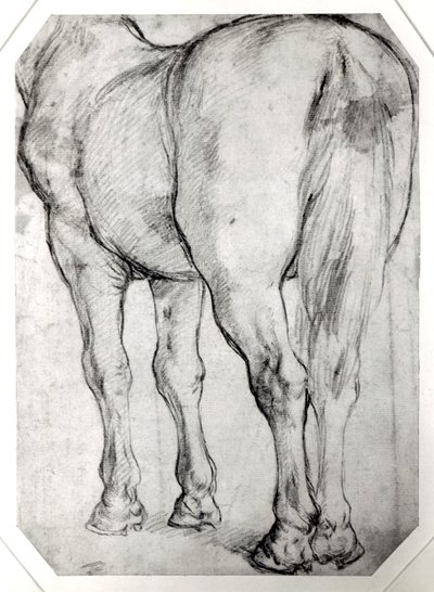Hevosen takaosa tekijältä Peter Paul Rubens