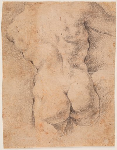 Miehen vartalo takaapäin nähtynä tekijältä Peter Paul Rubens
