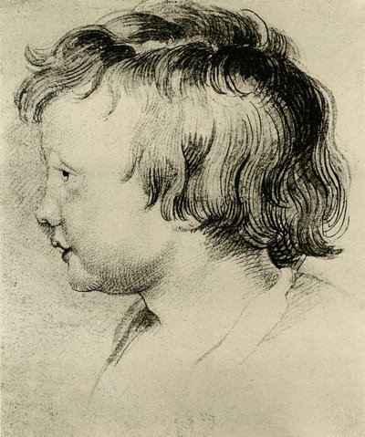 Rubensin toinen poika Niklas tekijältä Peter Paul Rubens