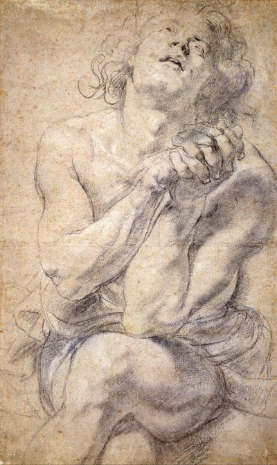 Istuva miesnuoriso (tutkimus Danielille) tekijältä Peter Paul Rubens