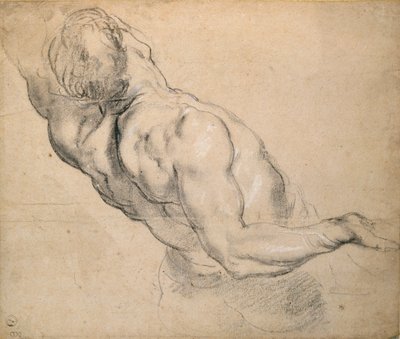 Tutkimus alaston miehen torsosta, 1600-1640 tekijältä Peter Paul Rubens