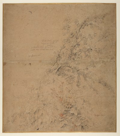 Tutkimus torven ja muiden kasvien kanssa, n. 1620 tekijältä Peter Paul Rubens