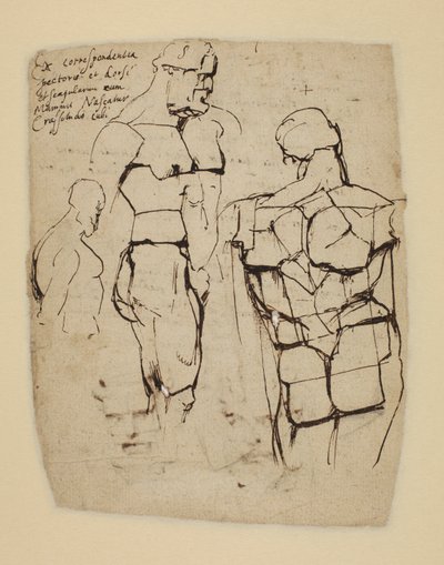 Farnese Hercules -tutkimus tekijältä Peter Paul Rubens