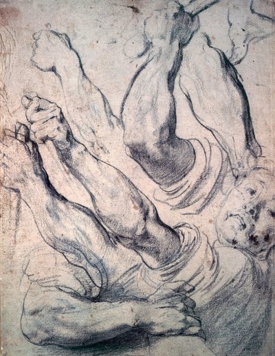 Tuntematon kuva tekijältä Peter Paul Rubens