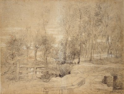 Woodland Scene, 1600-luvun alku tekijältä Peter Paul Rubens