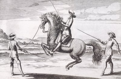 Kuva hevosesta en Croupade Wintersin, Stutereyn ja Reit-Schulin pubin kirjoittamasta uudesta traktaatista jalostushevosista. 1672 tekijältä Peter Paul Troschel