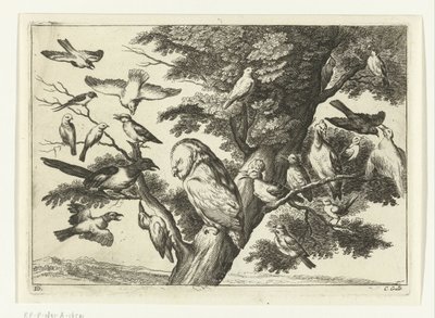 Linnut puussa Diversarum avium -lajit (sarjan nimi) Erilaisia ​​lintuja (sarjan nimi) tekijältä Peter van Liesebetten