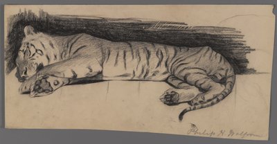 Nukkuva tiikeri (hiili paperilla) tekijältä Philip H. Wolfrom