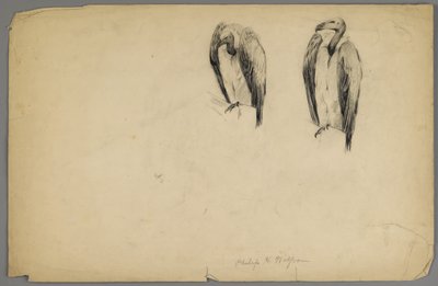 Korppikotkat (hiili paperilla) tekijältä Philip H. Wolfrom