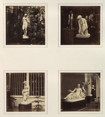 [Andromedan veistokset, Atalantan wc, Corinna ja Naiad], n. 1859. tekijältä Philip Henry Delamotte.